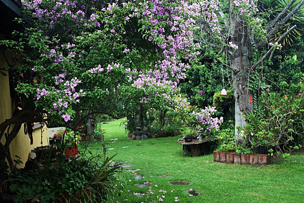 Hostal Saint Mary'S Tababela Exteriér fotografie